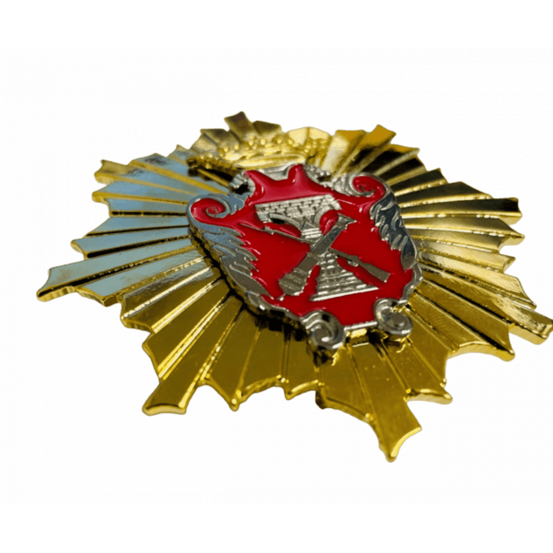 Placa Doctor por la Escuela Politécnica Superior del Ejército - 2