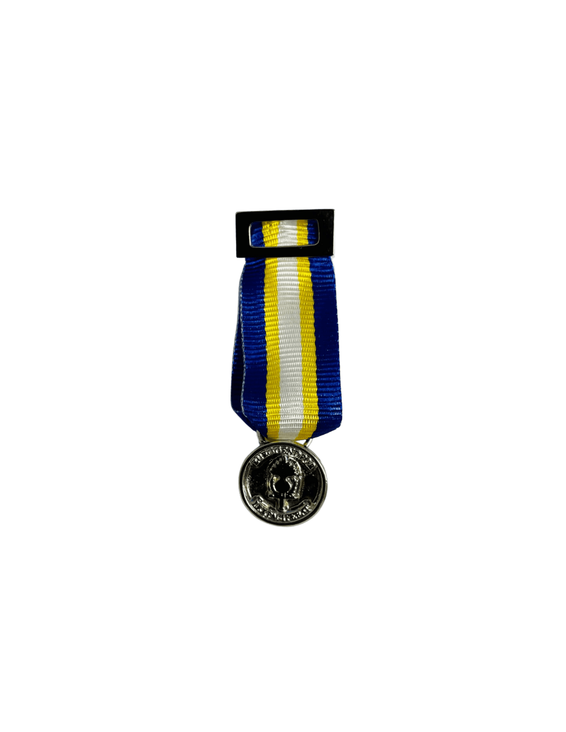 Conjunto completo Medalla Eurogendfor Plata - 3