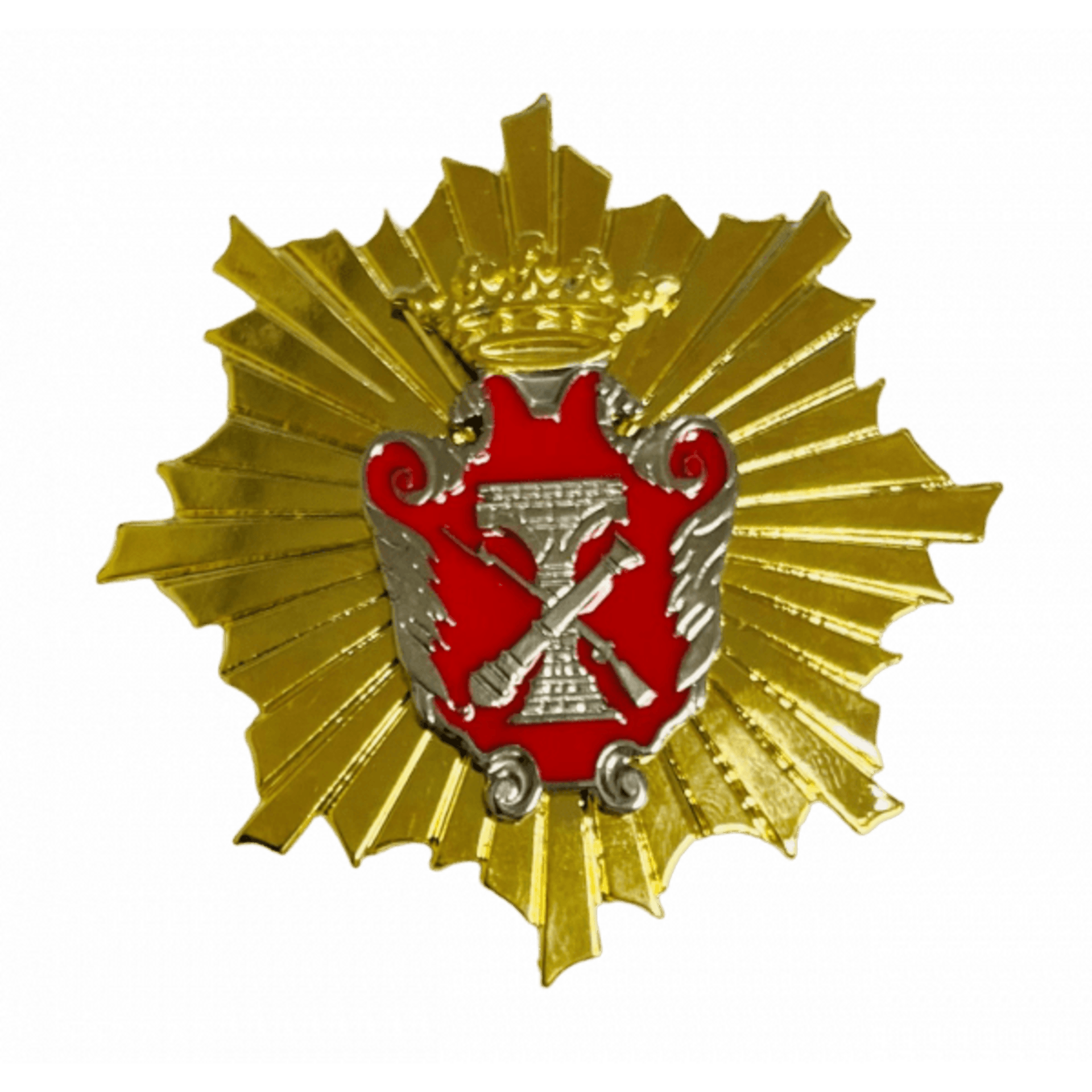 Placa Doctor por la Escuela Politécnica Superior del Ejército - 4