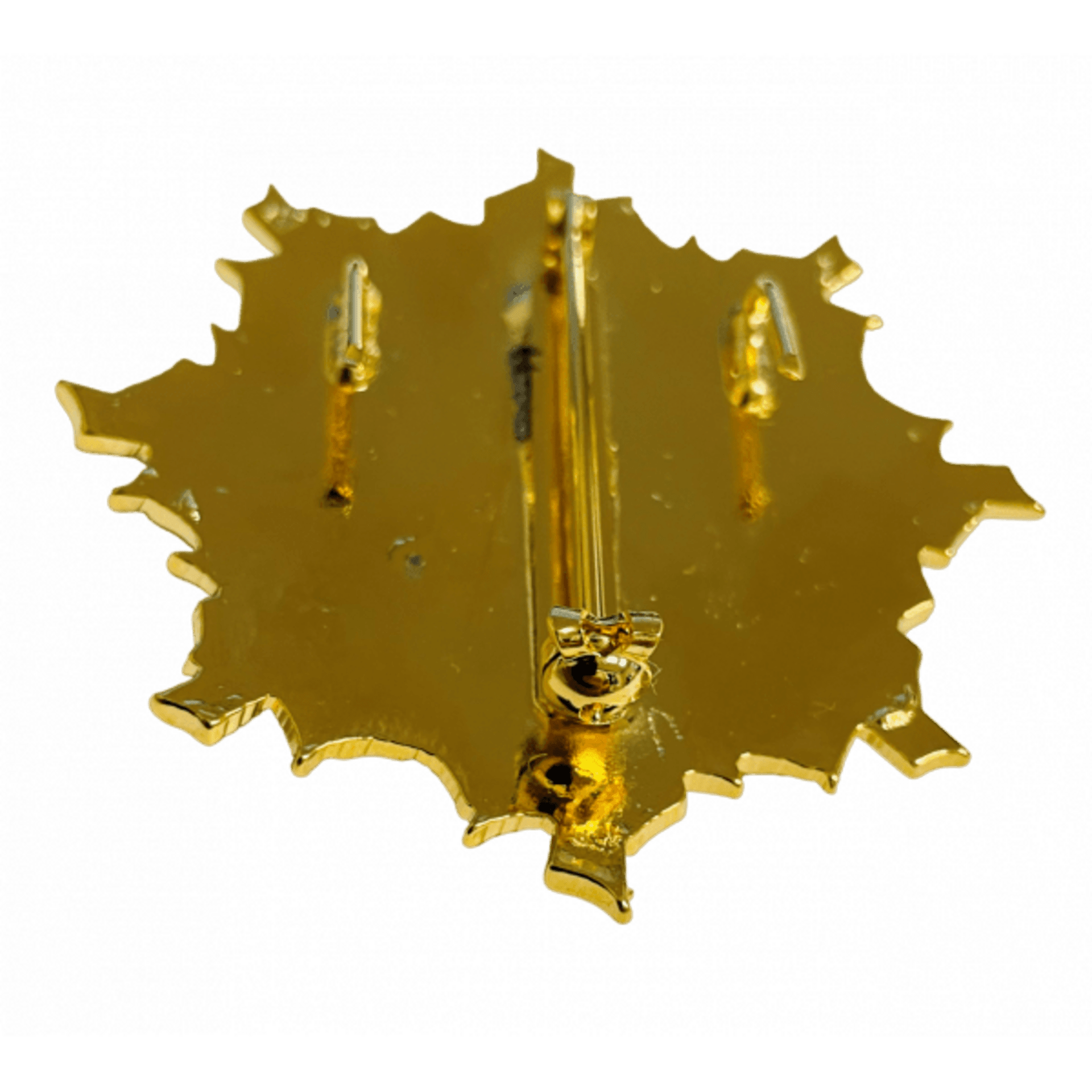 Placa Doctor por la Escuela Politécnica Superior del Ejército - 3